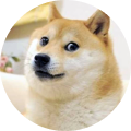 $DOGE